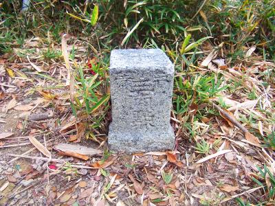 高森山山頂三角点