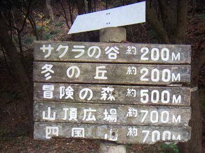 山頂広場付近から下ったところ。サクラの谷へ行く