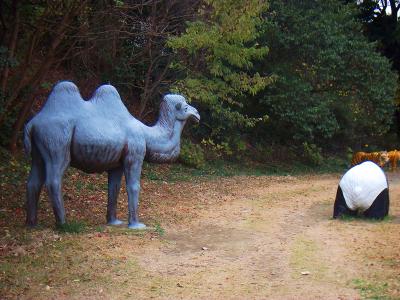 ラクダとパンダ。ラクダにまたがろうと思ったけど予想以上に高かった