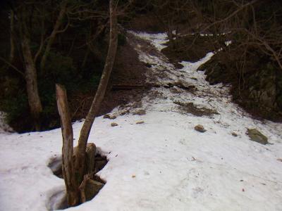 少し登って行くと雪道になってきた