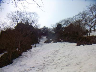 ダケ道とは景色は違ってくるけどやはり登りが長い