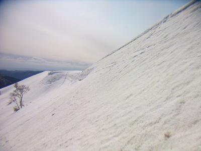 この斜面をスキーで滑るのかって思うとワクワクしてきた