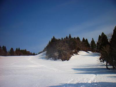 八雲ヶ原付近にきた。前もいったけどここはスキー場だったのかな。良い斜面なんだけどね
