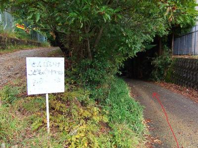 ここは右側の道路を下っていく。今回、最後は左側の道から戻ってくることになる