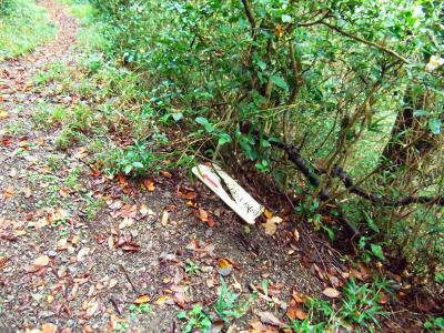 西コースと東コースの分岐をよくみると西コースへの看板が割れている