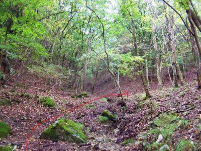 三叉路のようになっているが右側へ登っていくのが正解