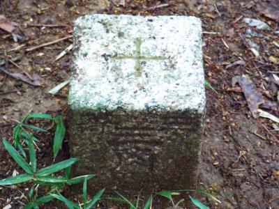 青貝山の山頂三角点