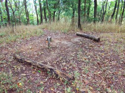 青貝山の山頂三角点付近はこうなって結構広い場所