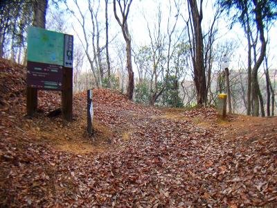 ここで長谷山との分岐。鉢伏山は左だが先に長谷山に行きたいので右へ