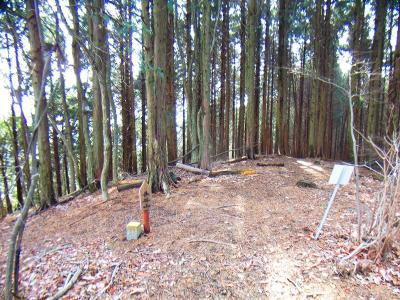 ここが長谷山山頂っぽい