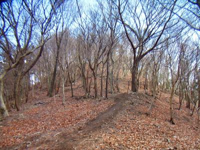 長谷山よりさっきの分岐に戻って鉢伏山へ向かう。この付近は気持ちの良い道だった