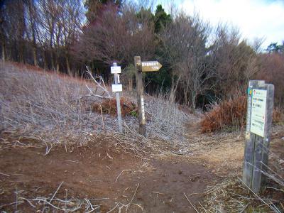 ここで鉢伏山との分岐。ピークハントするので左の鉢伏山のほうへ