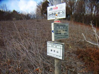 ちゃんとこの分岐にも道標がある。結構整備されているというか親切かも