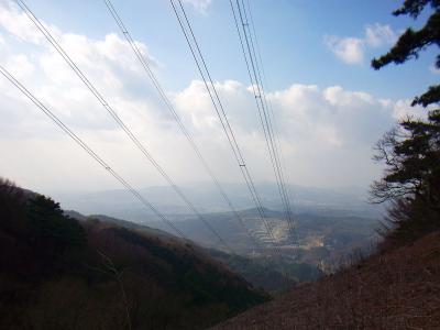 以前はこの辺りススキだらけだったように思うけど、今は刈られてる感じがした