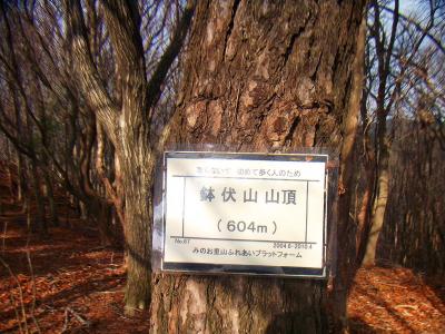鉢伏山山頂(604m)に到着。ここのプレートも結構新しいな