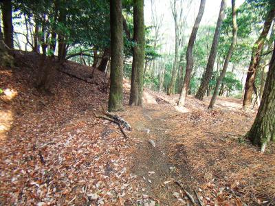 分岐に戻って明ヶ田尾山へ