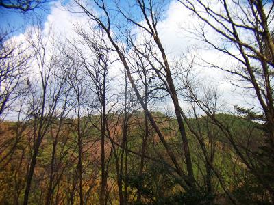これから登る明ヶ田尾山が見える。たぶんあのピークがそうだと思う