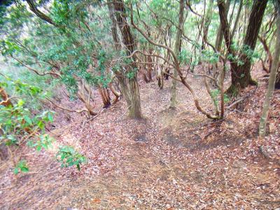 鉢伏山から一旦下っていく