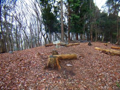 ここが明ヶ田尾山の山頂になる。こっちも樹林に囲まれていて何もない