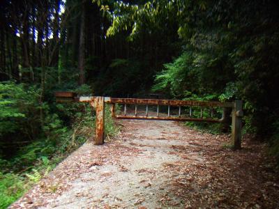 このゲートの中に入っていく