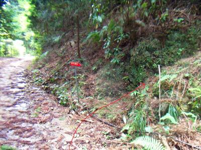 関電道入り口。ここの右側を登って沢筋に入っていく