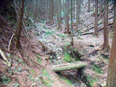 沢筋には「火の用心」のプレートが時々あるので従って登っていく