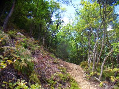 登っていくとだんだん明るい場所になってくる