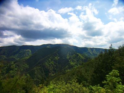 岩湧山は上がススキでハゲた感じなのでわかりやすい