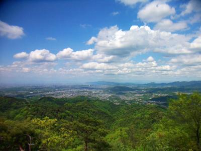 一徳防山の三角点からは河内長野市や富田林市が一望できる。PL塔もこの通り見えている