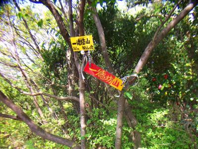 一徳防山山頂(541m)に到着。樹林帯に囲まれた山頂で何もない