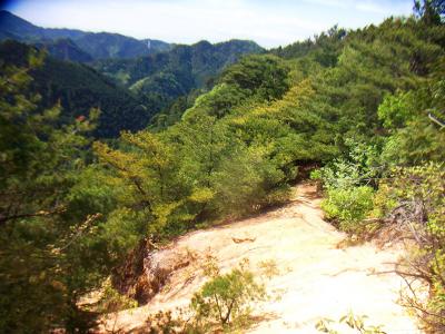 この少し明るいところに出ると編笠山への登りがはじまる