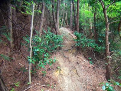 編笠山への登りがはじまる。ここから山頂までは急登になる