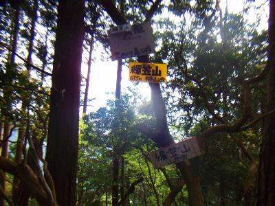 編笠山山頂(635m)に到着。でも本当に何もない山頂だった