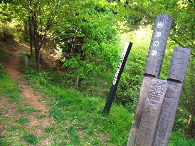 岩湧の森のこの道標から林道歩きになる。ここから第四駐車場までも長い林道歩きとなった