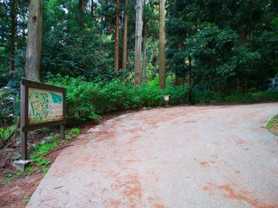 岩湧寺から林道を少し登っていく