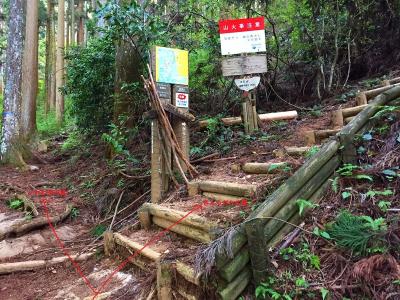 ここが登山口の分岐で左にいくと「いわわきの道」で右側の階段のほうが「きゅうざかの道」。最短はきゅうざかの道なのでそっちから登ることにした