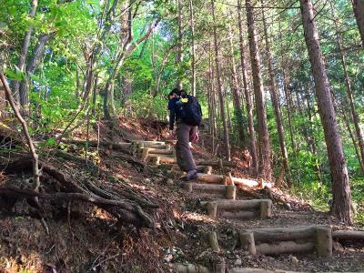 それにしても階段の多い登山道。Ｓ嬢のスローペースが息切れしない秘訣