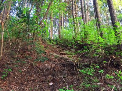 さらに階段は続くけど、最後のほうは急な階段も楽になってくる