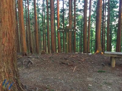 ここで岩湧東峰でダイヤモンドトレールとの分岐。ここを右の岩湧山のほうへ