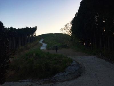 ここから最後の登りとなる。距離は短いけどきゅうざかの道で疲れた足にはちょっとあともうひと頑張りといったところ