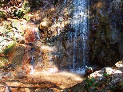 不動滝。水は結構綺麗なほうかも