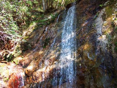 不動滝は高さ5mほどらしいけど、一応観光地みたいになってるのかな！？人はいないけどね