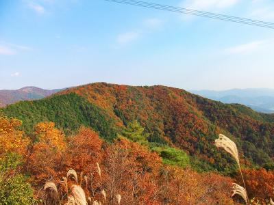 すっかり色づいた山容。この付近は今まさに紅葉の時期真っ盛りって感じだった