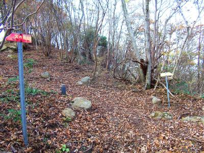 山頂付近の関電道との分岐点。とりあえず山頂に行く