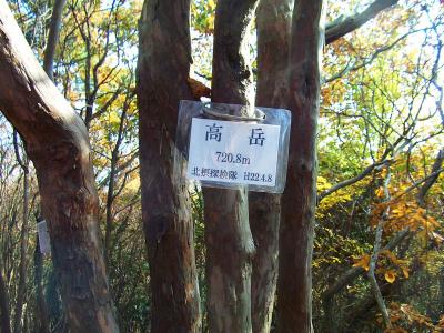 高岳山頂(720.8m)に到着。この山は700m越えの山だったのね