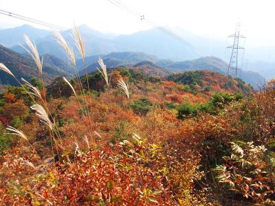 色づいた山々もまたいい感じかも。鉄塔の電線はまあ無視してもいいかな