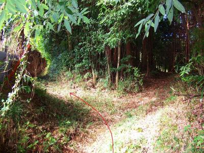 ここで道を間違えやすい。右側、直進すると道はなくなるので、ここは左で正解