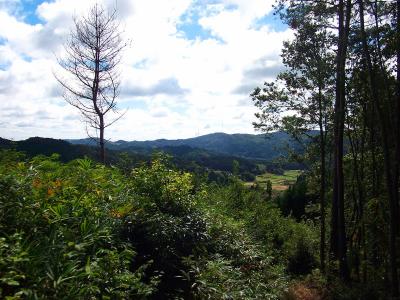 少し登ったところから景色がみえる