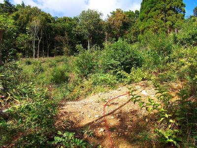 ここも間違いやすい分岐。今度は左に行くと道がなくなるので右が正解