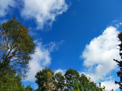 真っ青になった青空。雲も近い感じがした